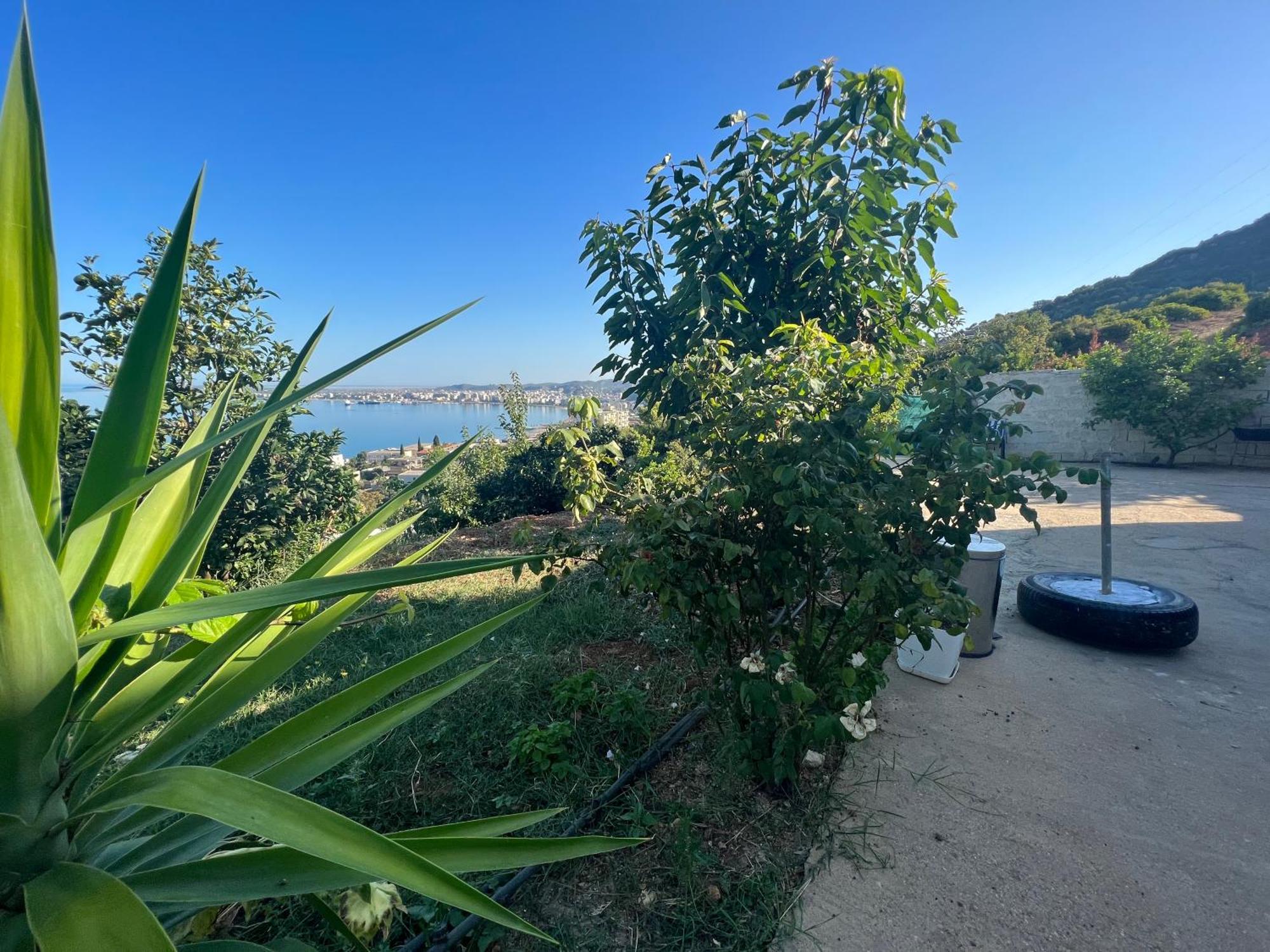 Markev Vlorë