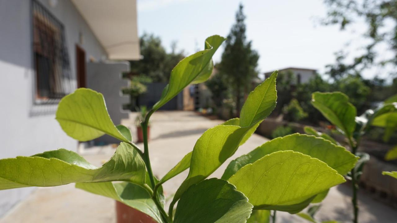 Markev Apartman Vlora