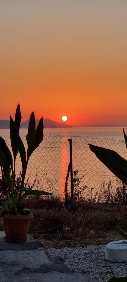 Markev Apartman Vlora